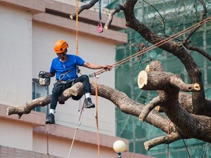 CONDENA A CONSTRUCTORA POR DAÑOS EN PROPIEDAD COLINDANTE