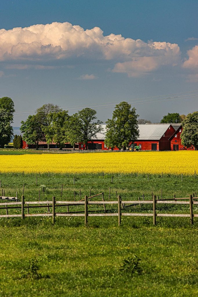 ¿Dónde acaba tu terreno? Te explicamos cómo aclararlo legalmente.