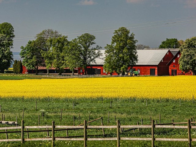 ¿Dónde acaba tu terreno? Te explicamos cómo aclararlo legalmente.