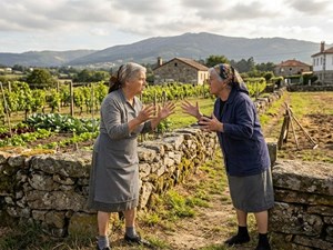 ¿Tolerancia o servidumbre? El detalle legal que protegió la propiedad de nuestra clienta